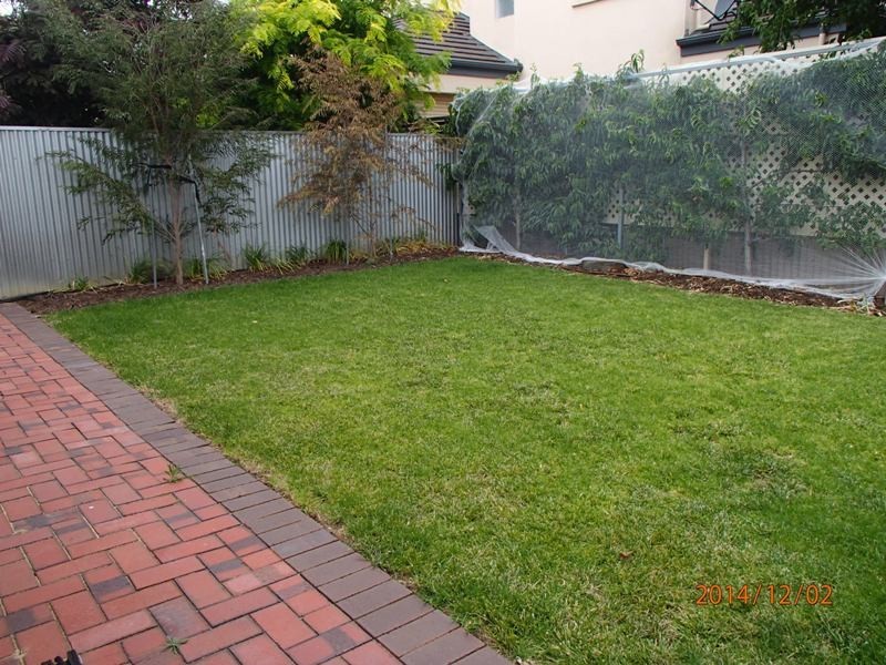 3 Arnold Street, Parkside SA 5063