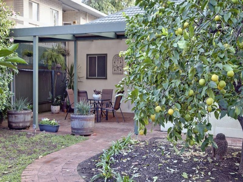23  Frederick Street, Maylands SA 5069