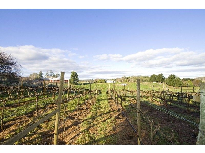 103 Greenhill Road, Summertown SA 5141