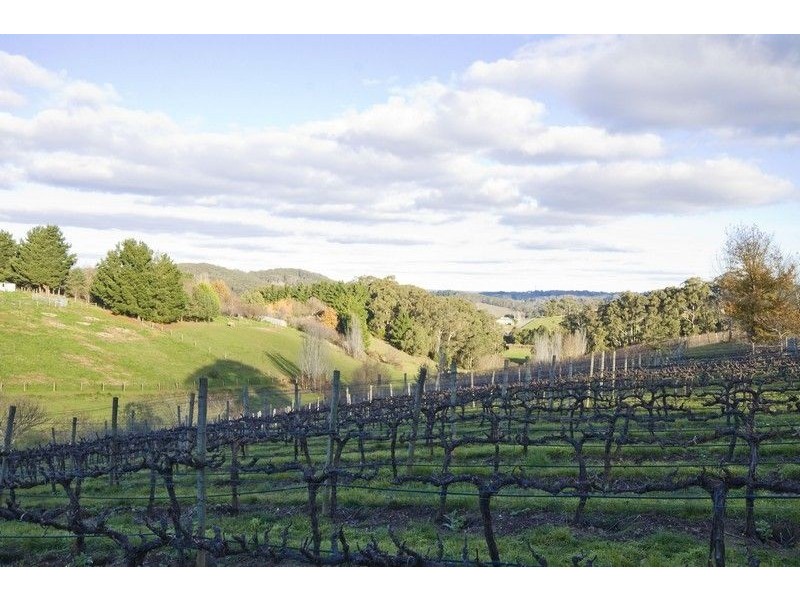 103 Greenhill Road, Summertown SA 5141