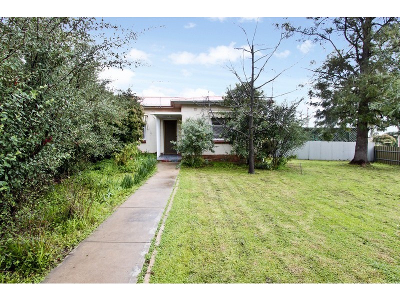 1 Donoughmore Grove, Hectorville SA 5073