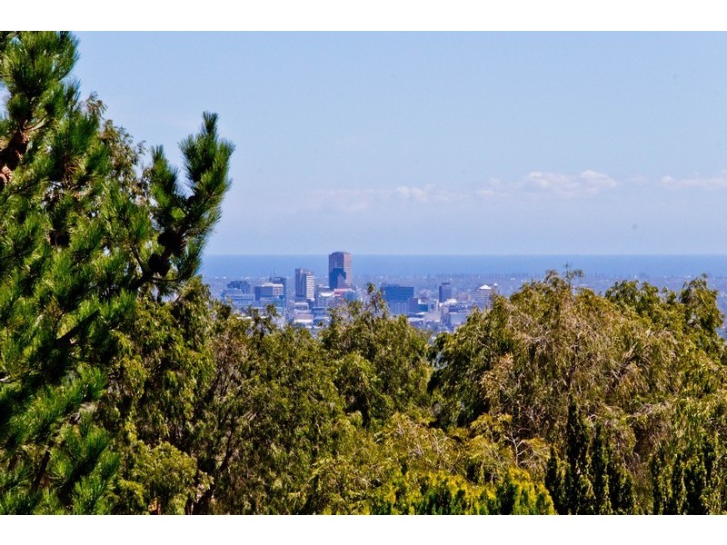 16 Traminer Way, Auldana SA 5072