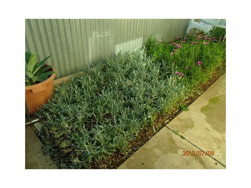 3/42 Kent Road, Keswick SA 5035