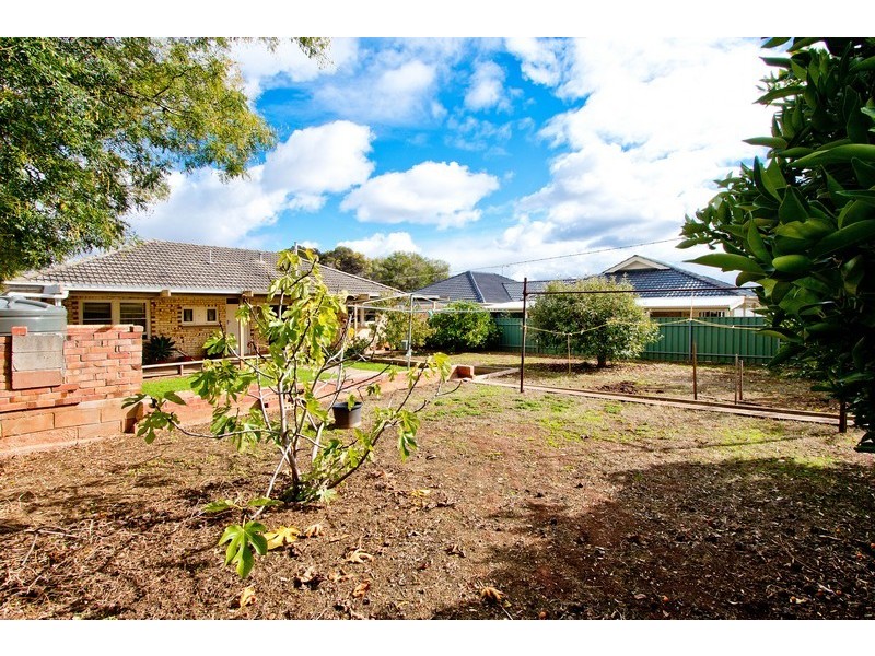 14 Carey Street, Magill SA 5072