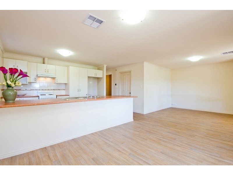 31A Vincent Avenue, Athelstone SA 5076