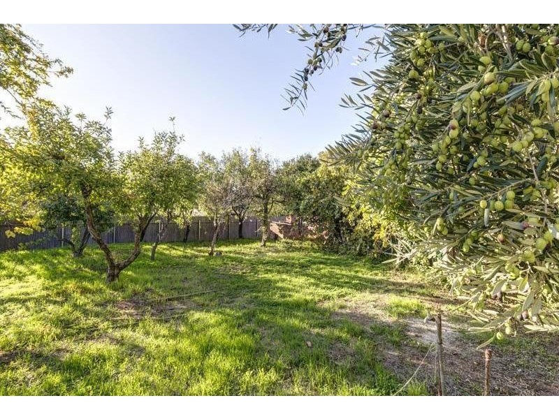 26 Wheaton Road, Stepney SA 5069