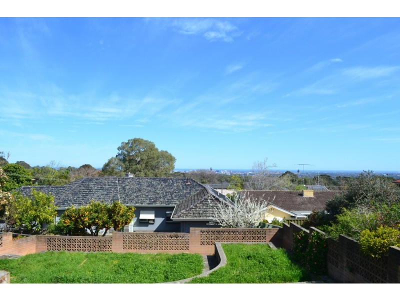 11 Gordo Avenue, Wattle Park SA 5066