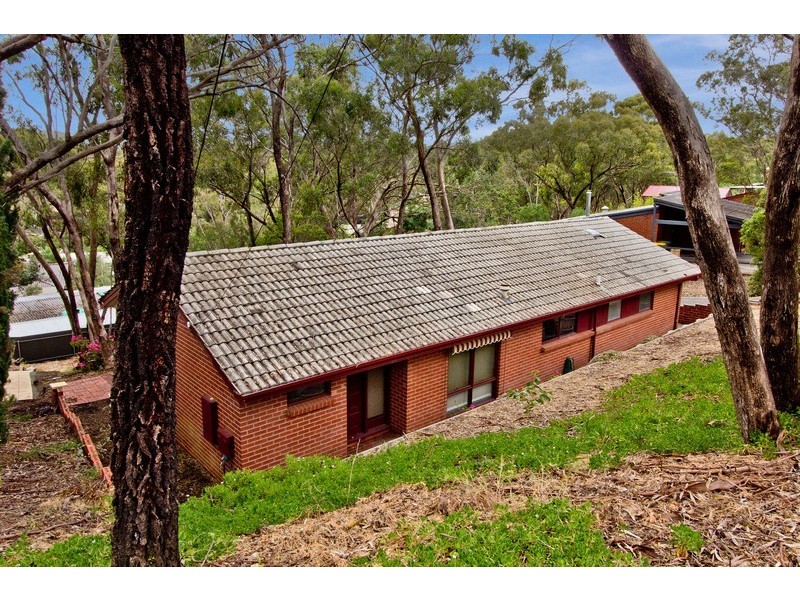 18 Orleana Street, Flagstaff Hill SA 5159