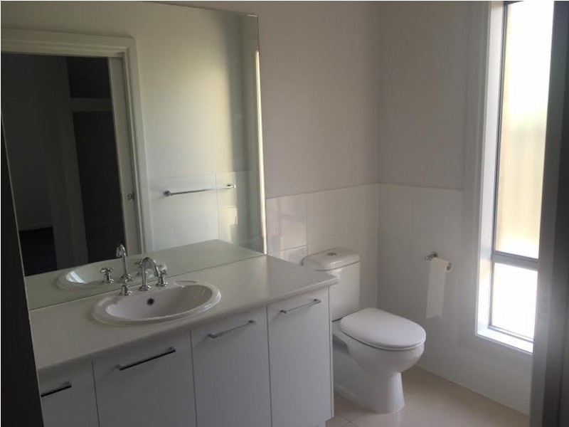 14 Elizabeth Street, Clapham SA 5062