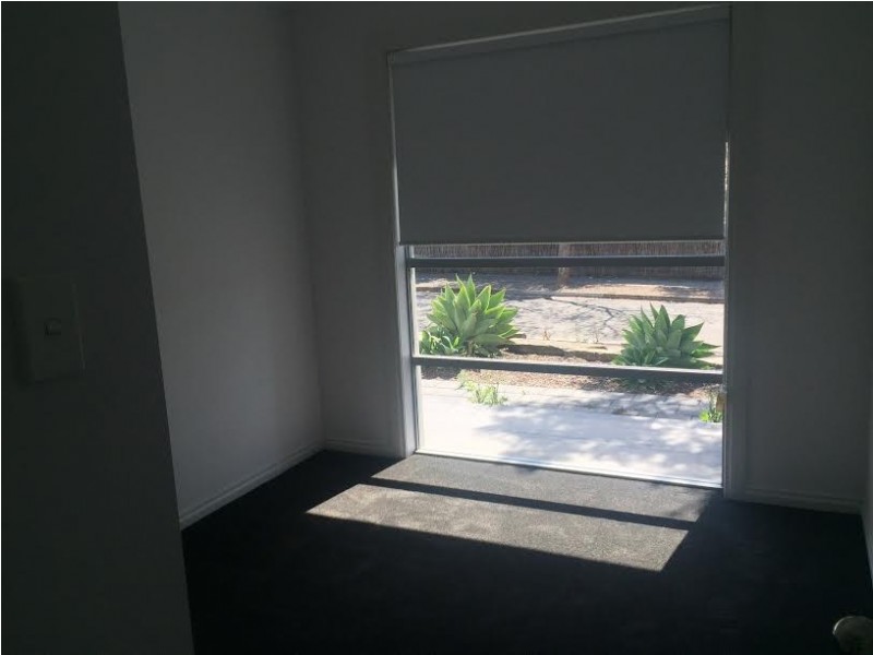 14 Elizabeth Street, Clapham SA 5062