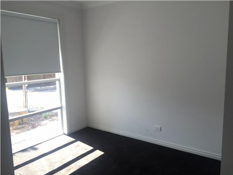 14 Elizabeth Street, Clapham SA 5062