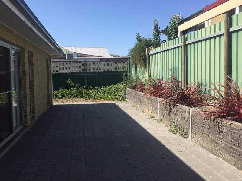 14 Elizabeth Street, Clapham SA 5062