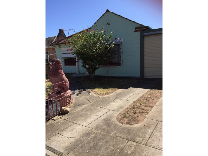 7 Windsor Avenue, Magill SA 5072