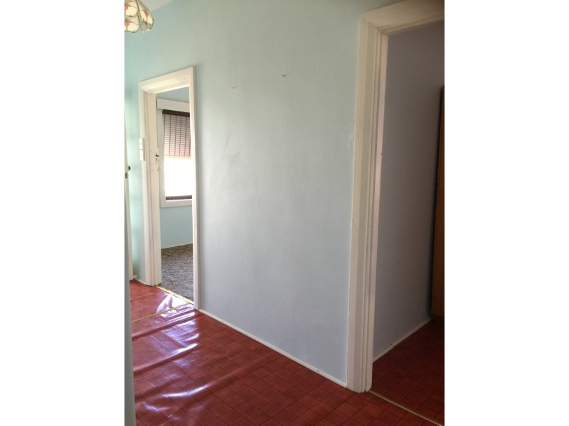 7 Windsor Avenue, Magill SA 5072