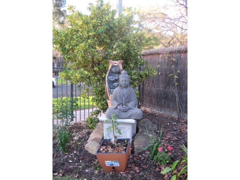 30 Young Street, Burnside SA 5066