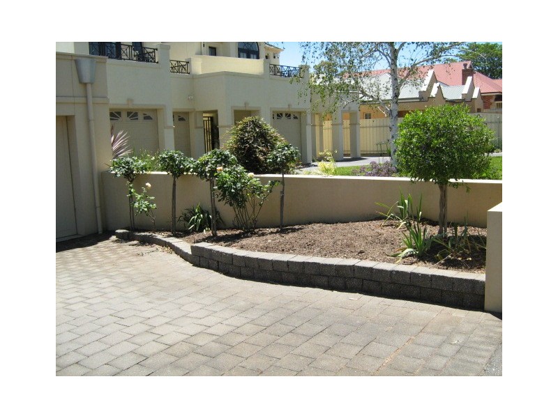 8 White Avenue, Fullarton SA 5063