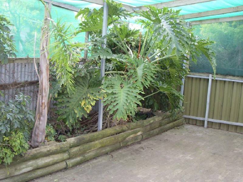 12 Buik Street, Bordertown SA 5268