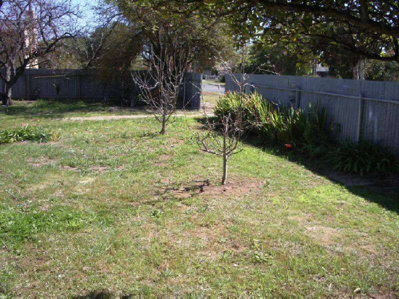 9 Elizabeth Avenue, Bordertown SA 5268
