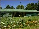 . . Alawoona Rd, Lameroo SA 5302