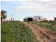 . . Alawoona Rd, Lameroo SA 5302