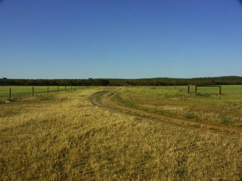 . . Alawoona Rd, Lameroo SA 5302
