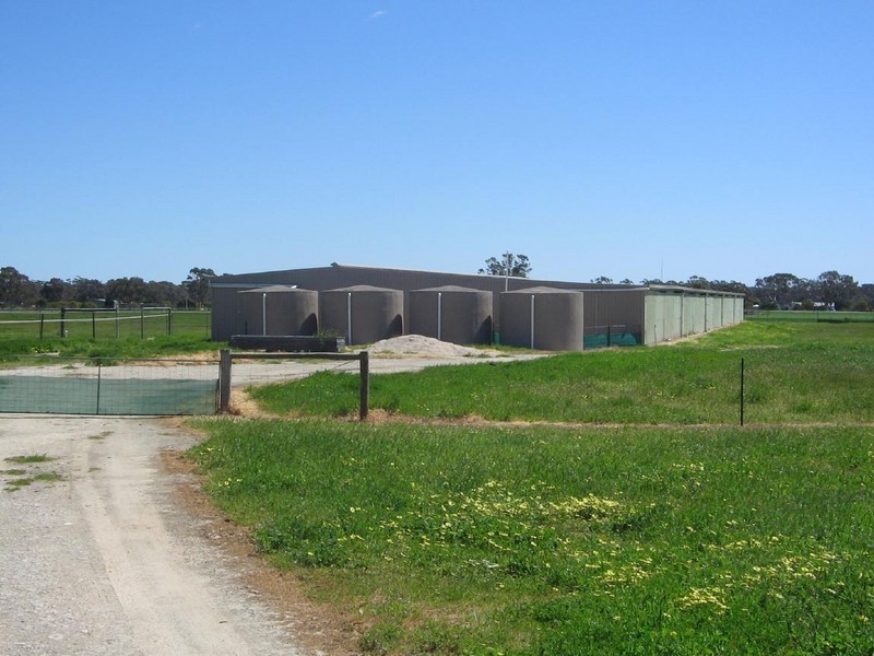 34 Off chalk Rd, Mundulla SA 5270