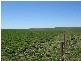 Section 39 Princes Highway, Meningie SA 5264