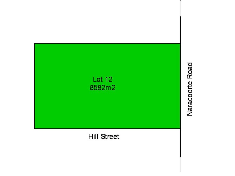 Lot 12 Naracoorte Rd, Bordertown SA 5268