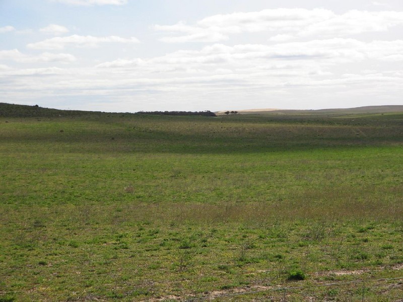 Section113 Mulpata Road, Lameroo SA 5302