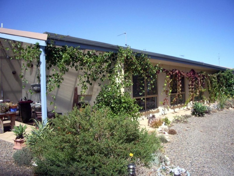 100 South Avenue, Bordertown SA 5268