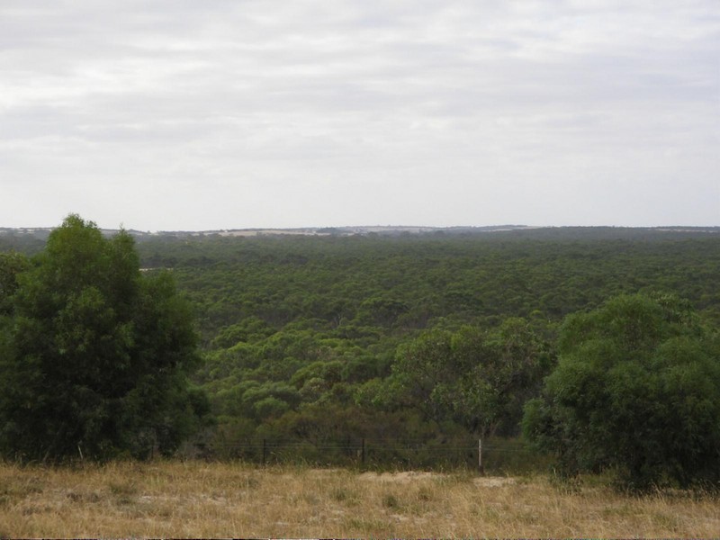 Lots 1 and 2 Broadview Road, Padthaway SA 5271