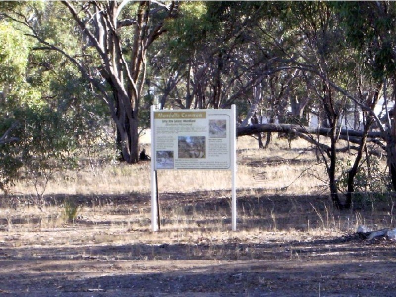 3 Jewell Street, Mundulla SA 5270