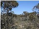 Ptn 105 Hammatt Road, Lameroo SA 5302