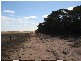 Ptn 105 Hammatt Road, Lameroo SA 5302
