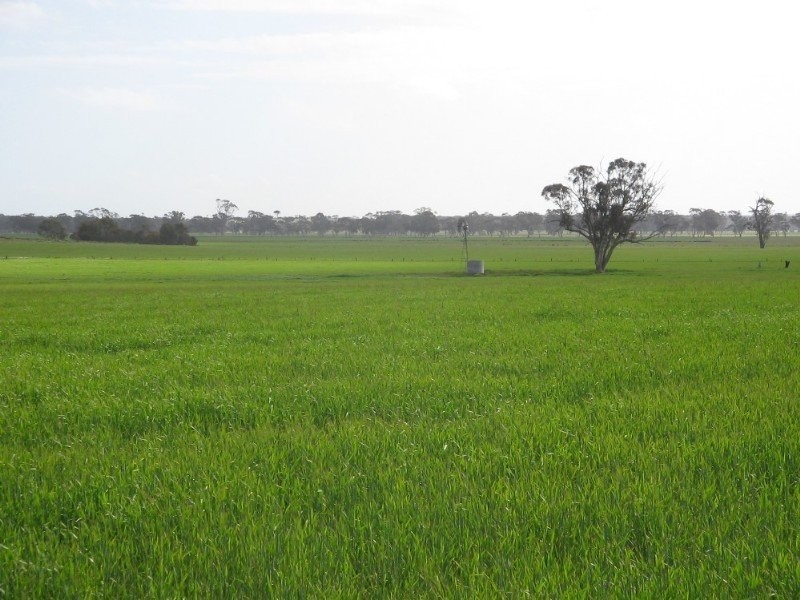 Lot 3 Government Road, Mundulla SA 5270