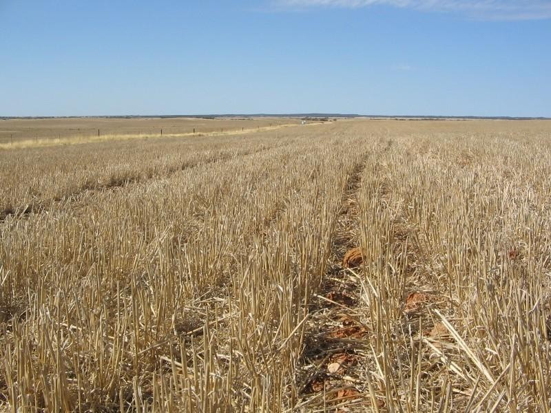 Waneroo North Murrawong Road, Telopea Downs VIC 3420