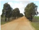 Kirra Station Off Ngarkat Hwy, Bordertown SA 5268