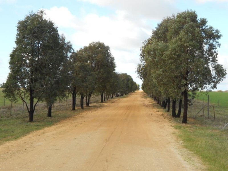 Kirra Station Off Ngarkat Hwy, Bordertown SA 5268