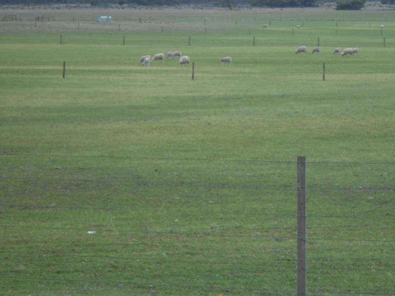 Kirra Station Off Ngarkat Hwy, Bordertown SA 5268