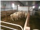 Kirra Station Off Ngarkat Hwy, Bordertown SA 5268