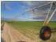 Kirra Station Off Ngarkat Hwy, Bordertown SA 5268