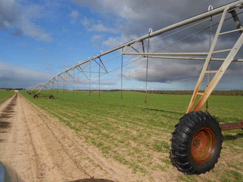 Kirra Station Off Ngarkat Hwy, Bordertown SA 5268