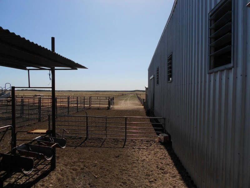 Kirra Station Off Ngarkat Hwy, Bordertown SA 5268