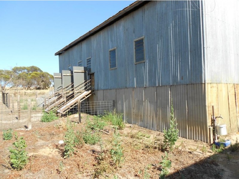 Kirra Station Off Ngarkat Hwy, Bordertown SA 5268