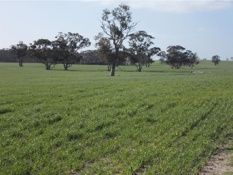 877 Stotts Road, Bordertown South SA 5268