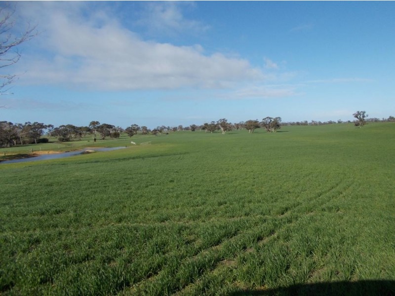 877 Stotts Road, Bordertown South SA 5268