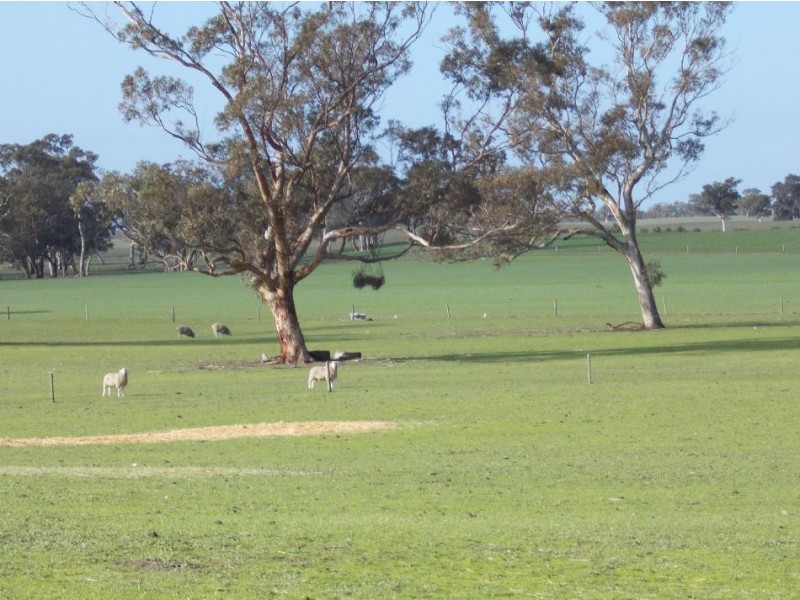 877 Stotts Road, Bordertown South SA 5268