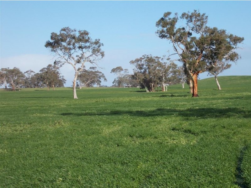 877 Stotts Road, Bordertown South SA 5268