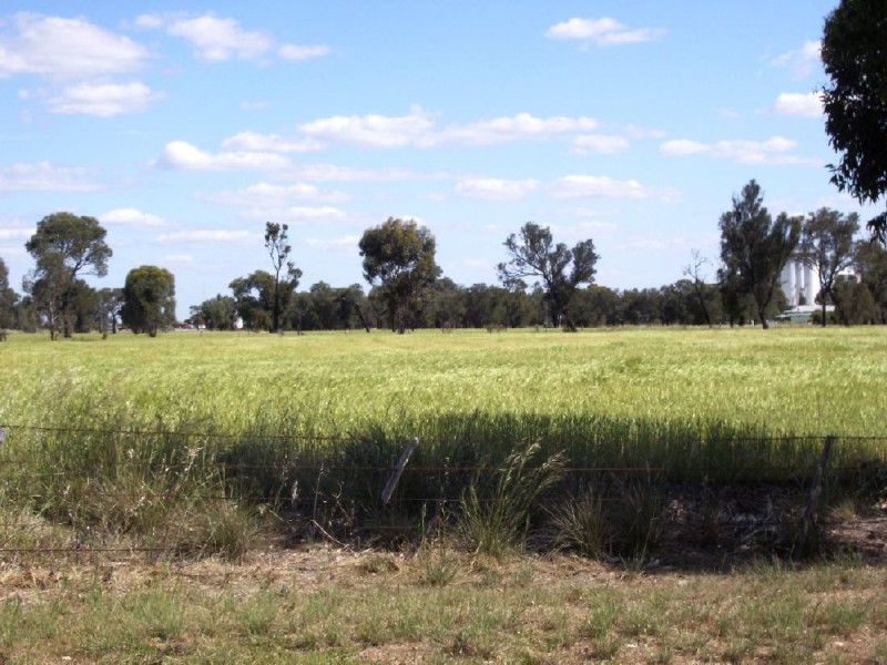 Lots Ridgway Road, Wolseley SA 5269