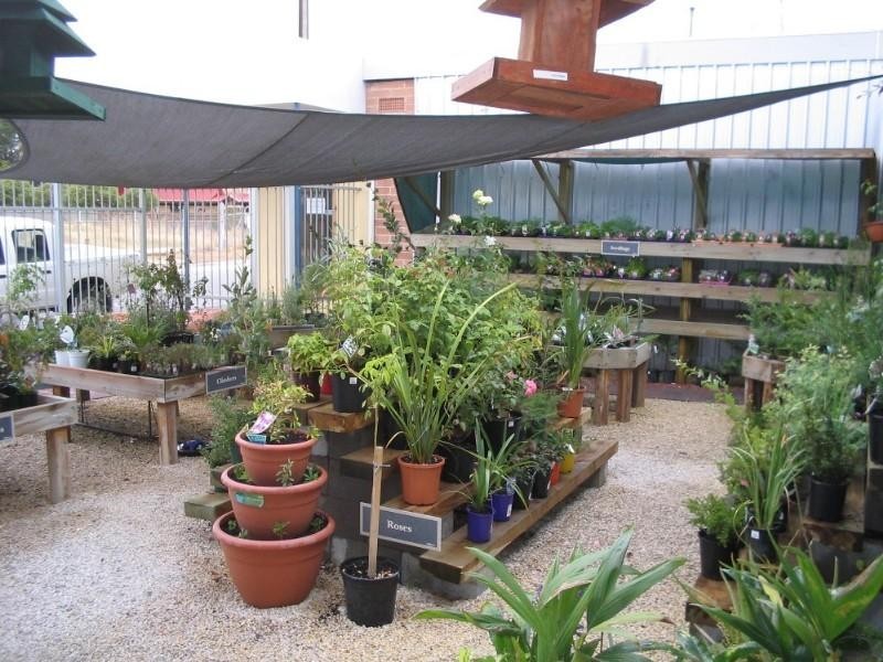 *  Mitre 10 Handy Bordertown, Bordertown SA 5268